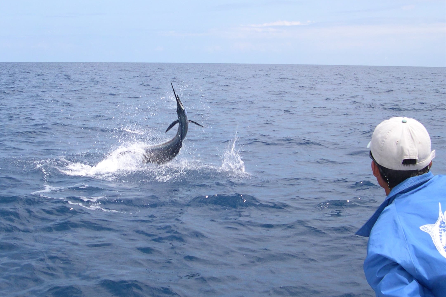 Hawaiian International Billfish Tournament