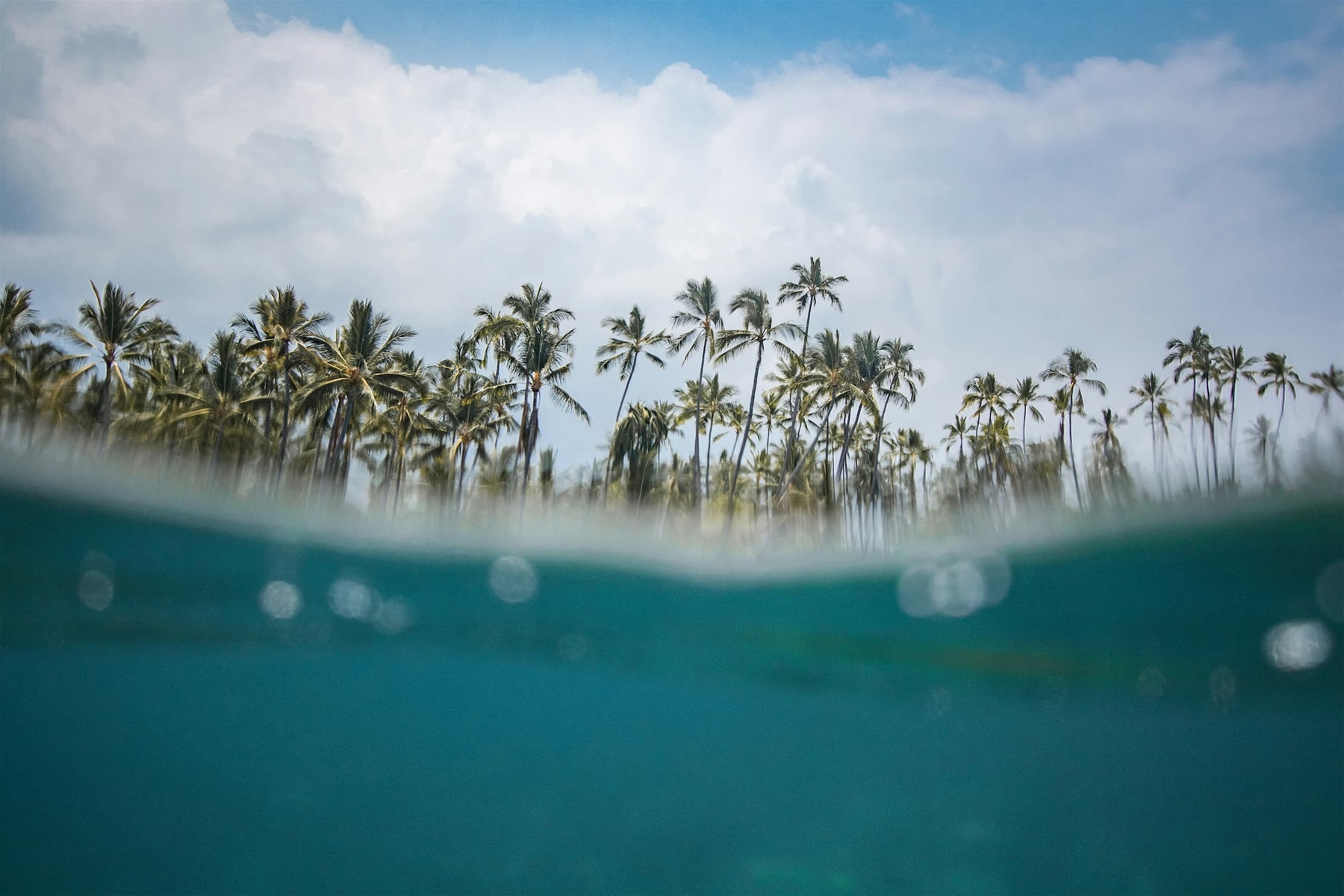 puuhonua hawaii