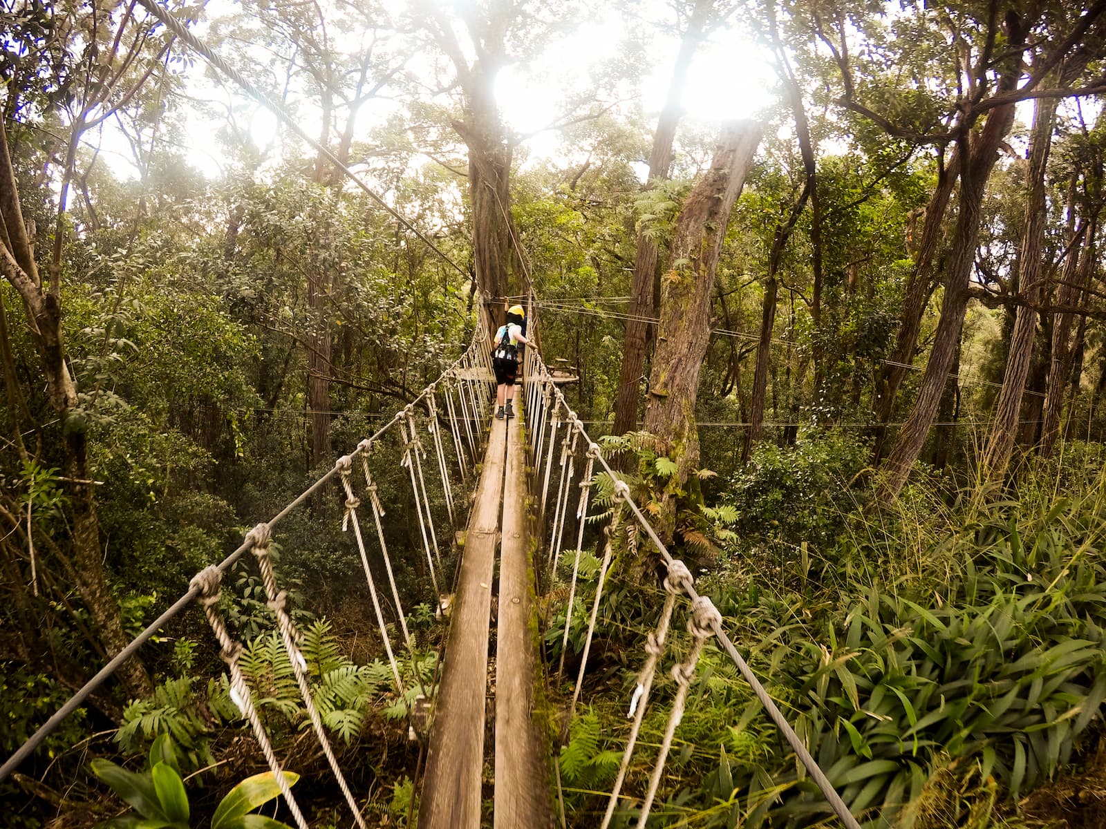 ziplining