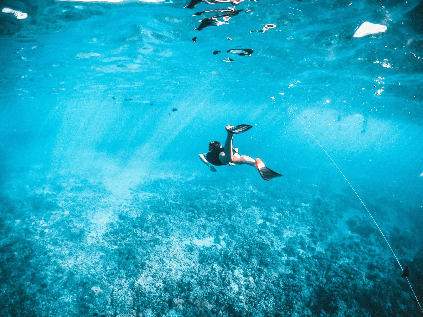 snorkeling